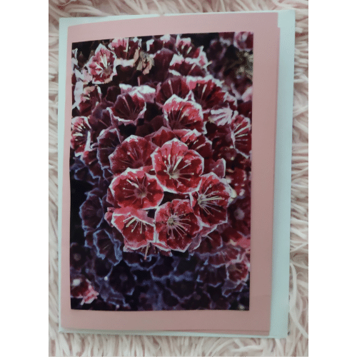 Crimson Bloom Greeting Card