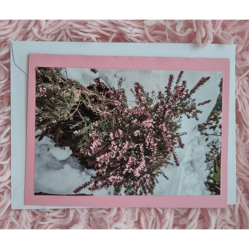 Blushing Blossom Bush Greeting Card