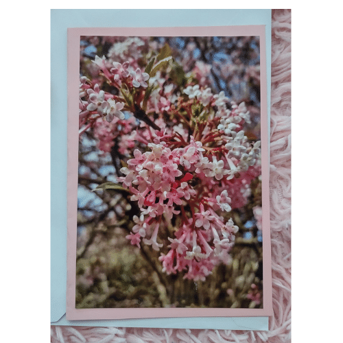 Petal Cascade Tree Greeting Card