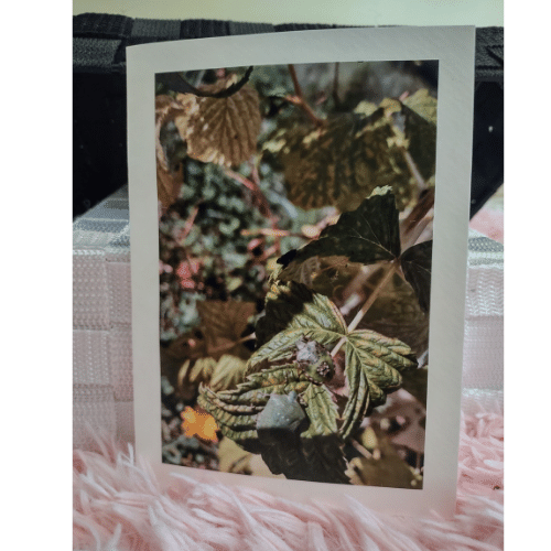 Elegant Stink Bug Greeting Card