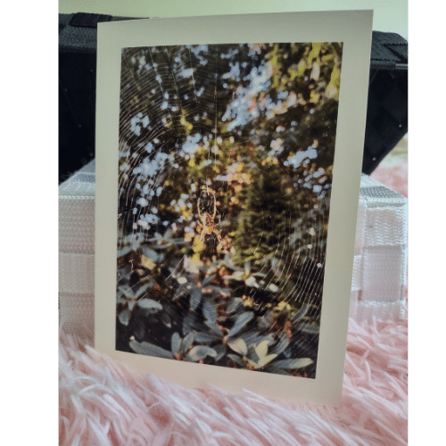 Spiderweb Elegance Greeting Card